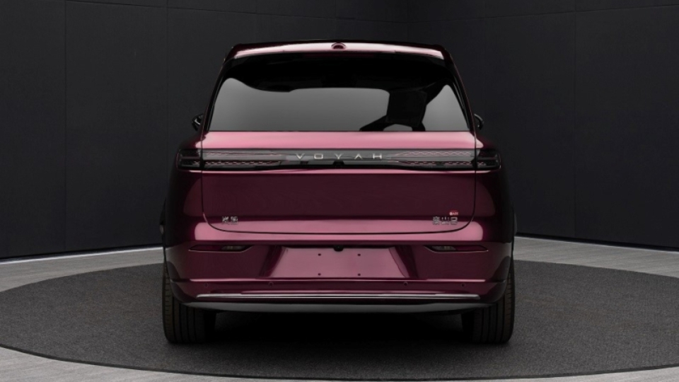 انتشار اولین تصاویر از وویا تایشان 8