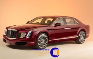 پاکارد اکسلنس