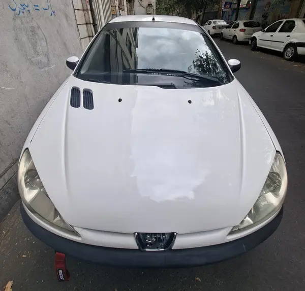 خرید پژو، 206، تیپ 2، مدل 1391 مدل 1391 رنگ سفید / داخل خاکستری نقدی و اقساطی در خودروشاپ