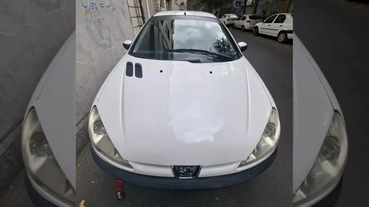 قبل از خرید پژو، 206 مدل 1391 این قیمت‌ها و گزارش کارشناسی را ببینید