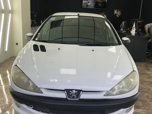 بندانگشتی خرید پژو 206 SD V8 مدل 2012-1391 مدل 2012-1391 رنگ سفید نقدی و اقساطی در خودروشاپ