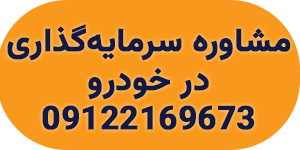 سرمایه گذاری در خودرو با سود بالا
