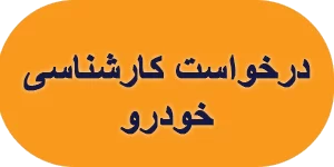 درخواست کارشناسی خودرو